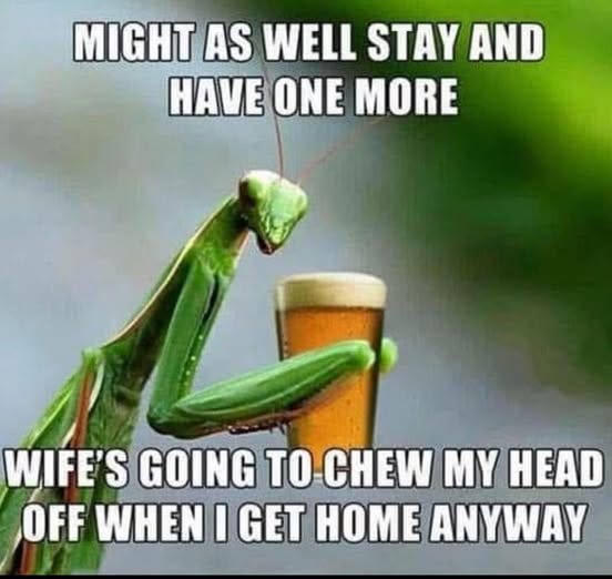 May be an image of text that says 'MIGHT AS WELL STAY AND HAVE ONE MORE WIFE'S GOING TO CHEW MY HEAD OFF WHEN I GET HOME ANYWAY'