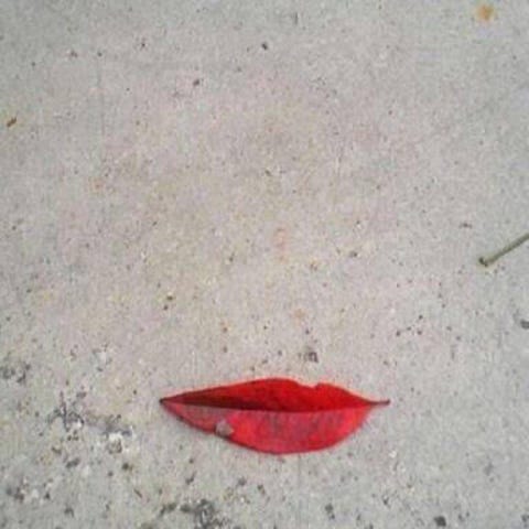 A long red leaf on the sandy ground. 

If you just glance at it, you see a woman's lips.