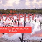 #35: Landscape Lexicon: Wetlands