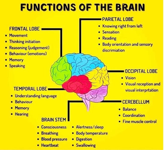 This image has an empty alt attribute; its file name is functions.png