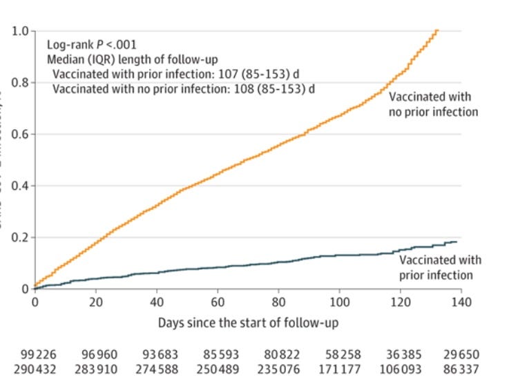 alexberenson.substack.com