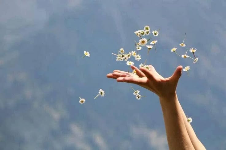 This may contain: a person's hand reaching up into the air with white flowers floating in front of them