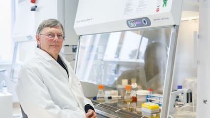 Virologe Osterhaus: “Das wird nicht das letzte Virus sein” Virologe Osterhaus: “Das wird nicht das letzte Virus sein”