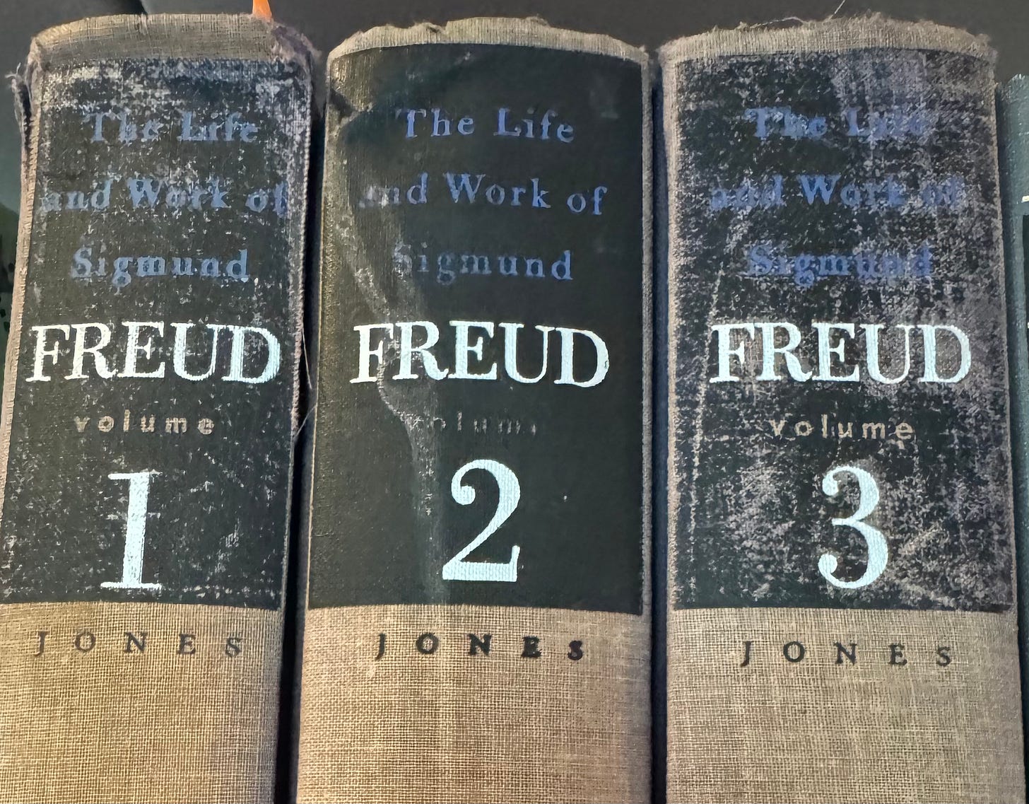 Image of the three volume Freud biography.