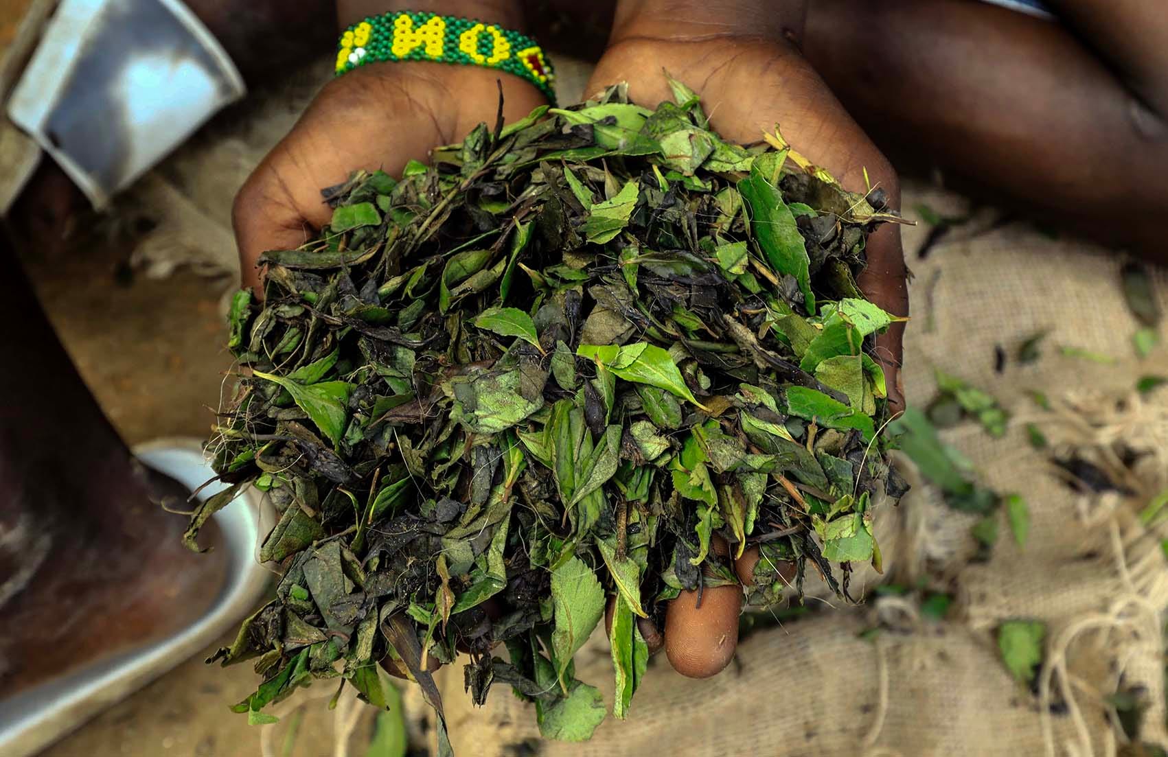 is tobacco a stimulant depressant or hallucinogen What Is A Drug? Definition, Types & Addiction Effects