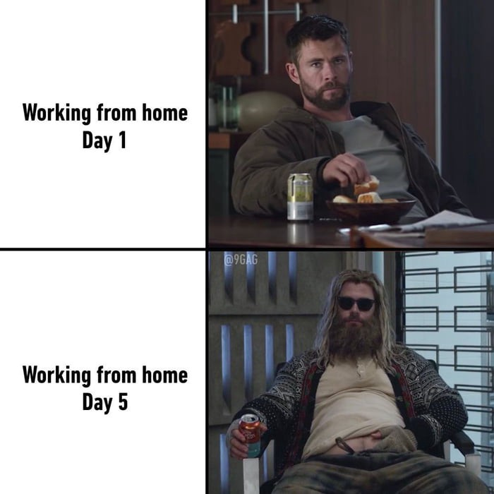 Working from home remote working memes