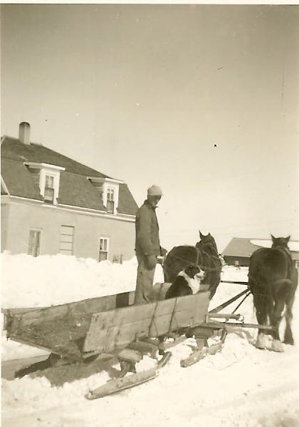 City of London Dog & Pony Show