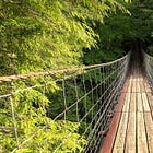 Workshop: Choosing the right structure