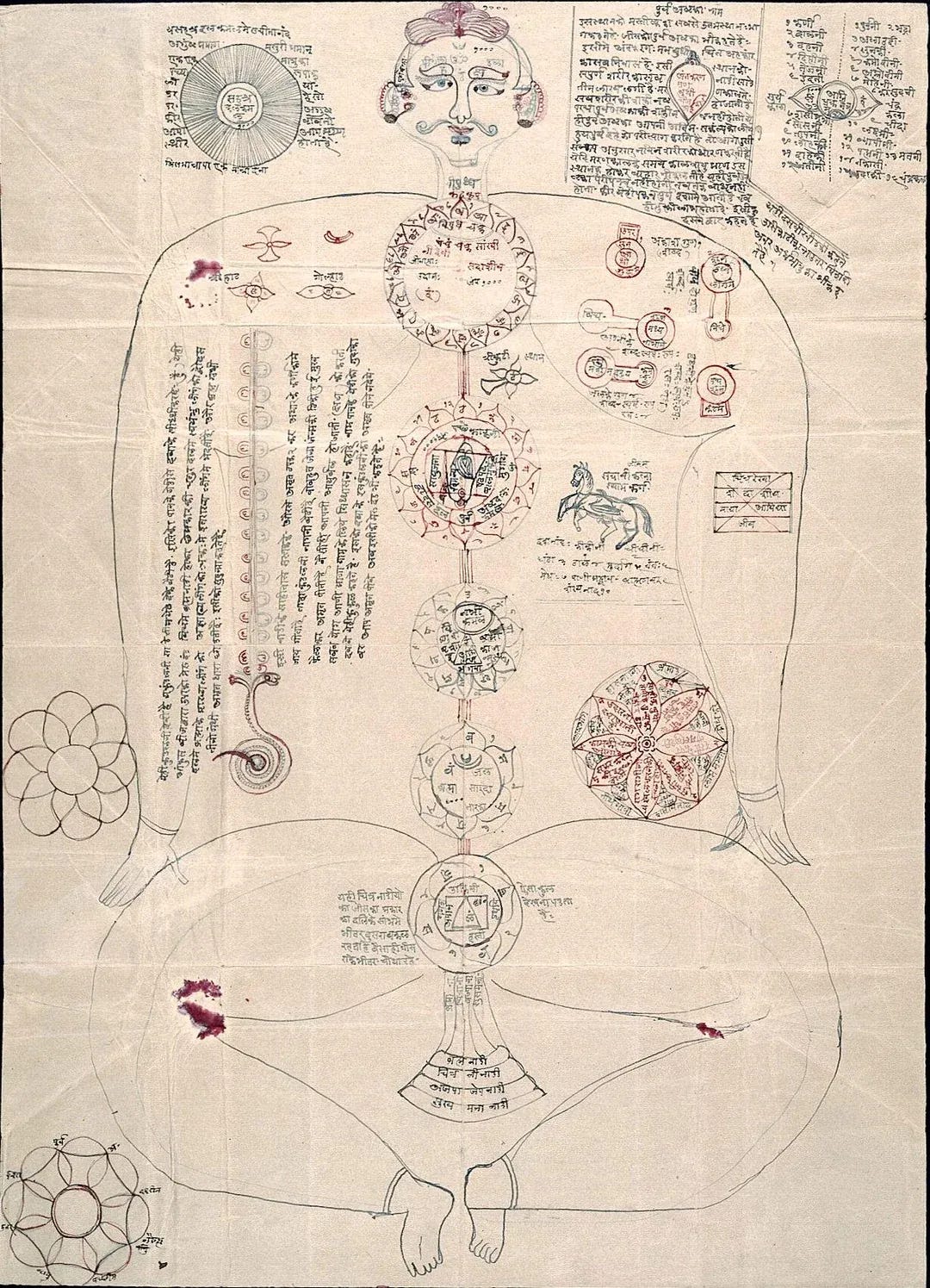 Tantric manuscript on kuṇḍalinī and the chakras (India, 18th century)