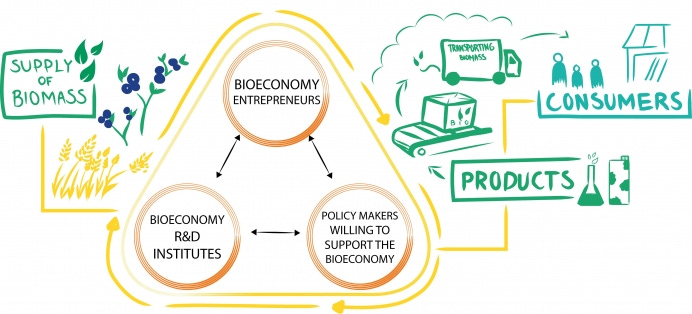 Bioeconomy beyond statistics