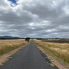 The Year I Needed a Road