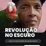 A Grande Guerra