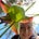 Michelle Fay's avatar