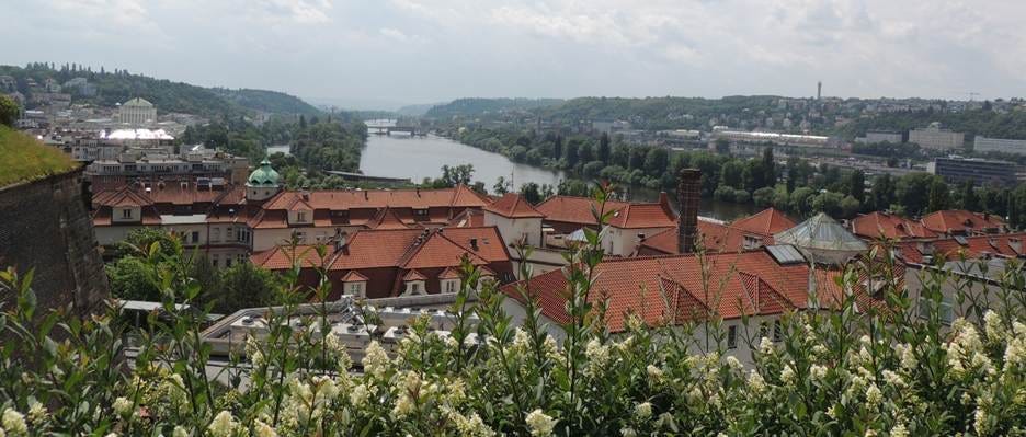 A city with red roofs and a river

AI-generated content may be incorrect.