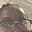 Agyeiwaa's avatar