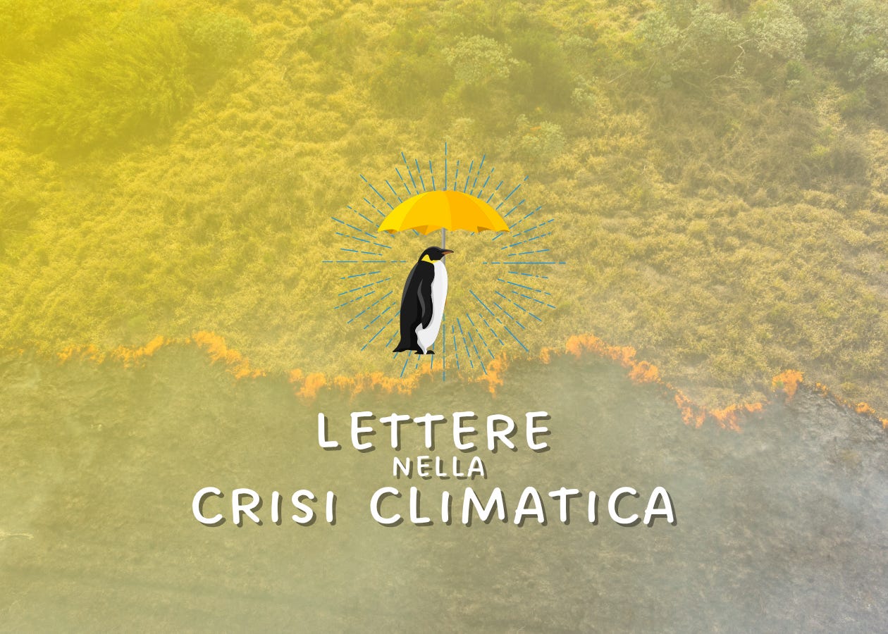 Adattamento ai cambiamenti climatici, copertina di Lettere nella Crisi climatica