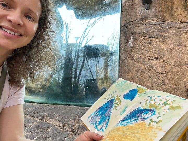 Beth Spencer drawing gorillas at Memphis Zoo