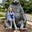 Amy Galloway's avatar