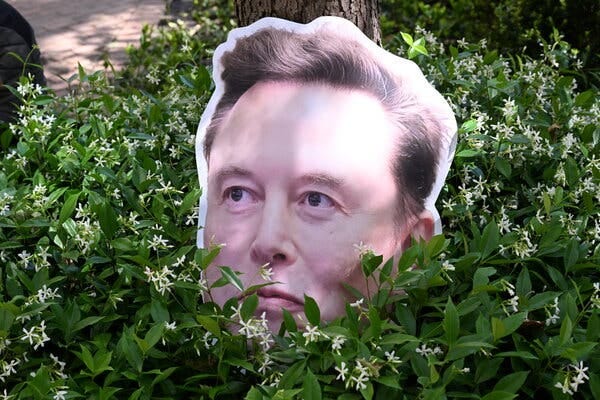 A sign with a big picture of Elon Musk’s face sits among green foliage with white flowers.