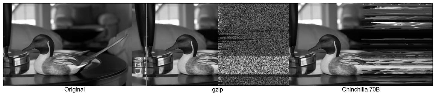 Three panels of the same photograph of a decoy duck. In the first, the whole original. In the second and third, the left half is the photograph and the right half is what gzip and a large language model each produce when the file stops and they have to carry on unaided: gzip makes static, the model makes smeared but plausible horizontal structure Three panels of the same photograph of a decoy duck. In the first, the whole original. In the second and third, the left half is the photograph and the right half is what gzip and a large language model each produce when the file stops and they have to carry on unaided: gzip makes static, the model makes smeared but plausible horizontal structure