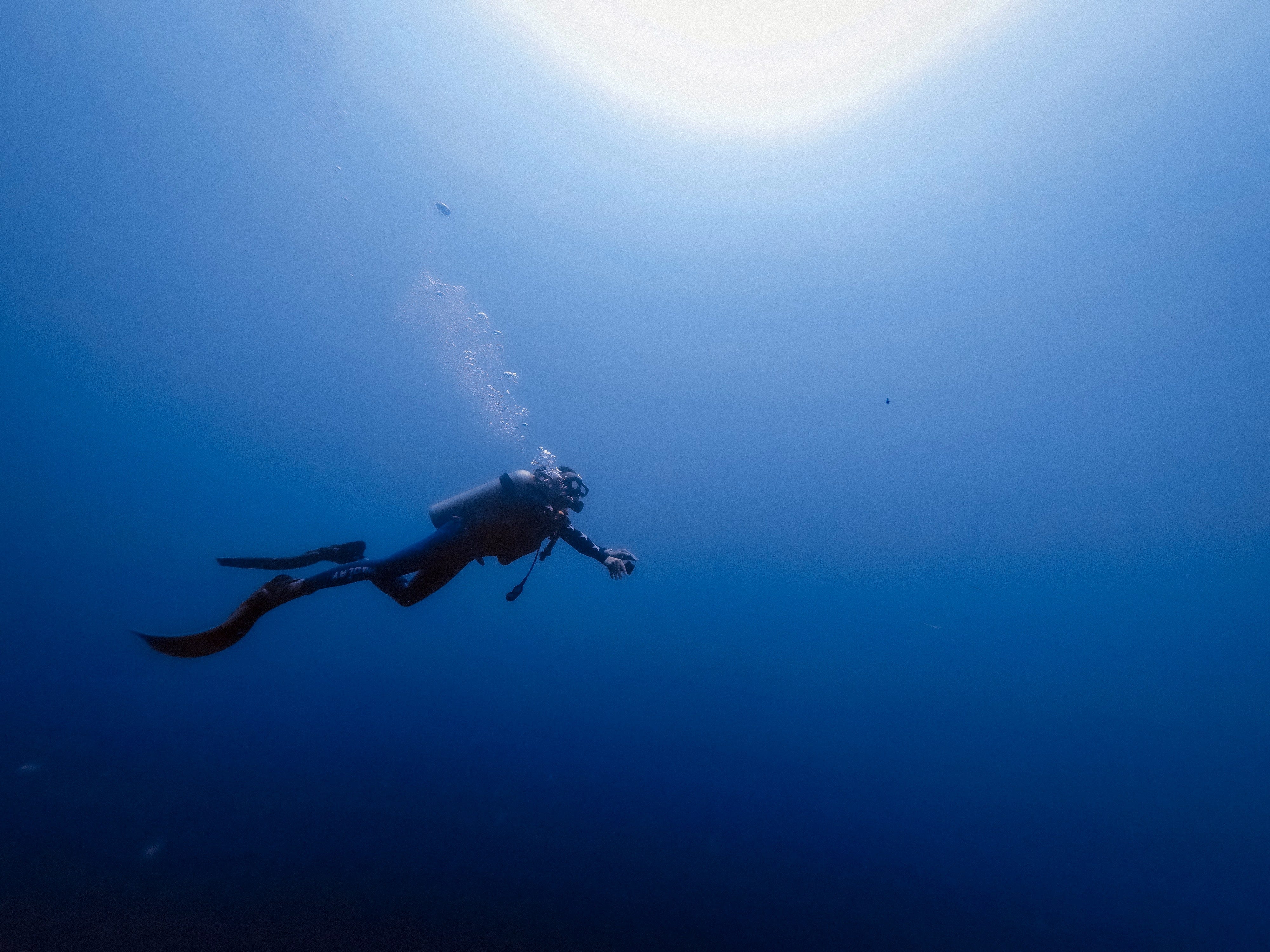 Substack profile picture for @diving