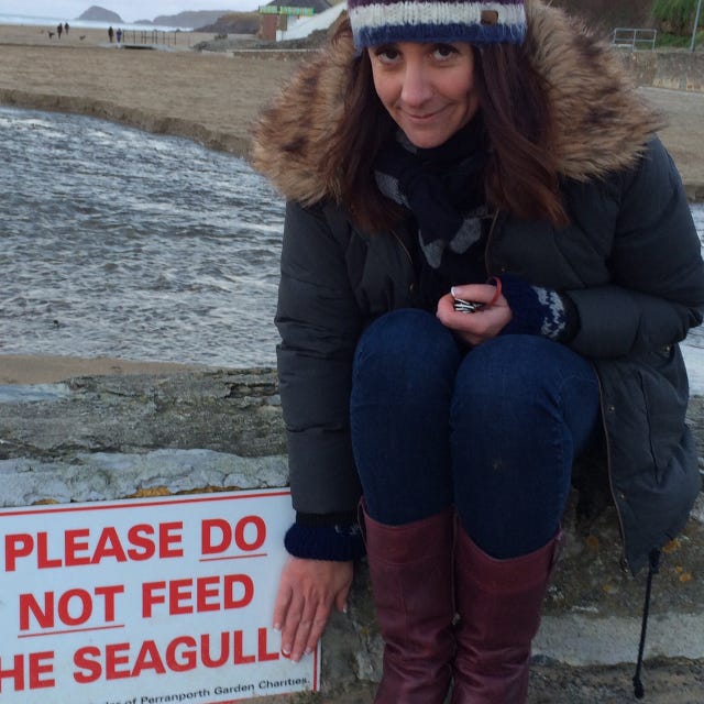 The Siegle Has Landed.