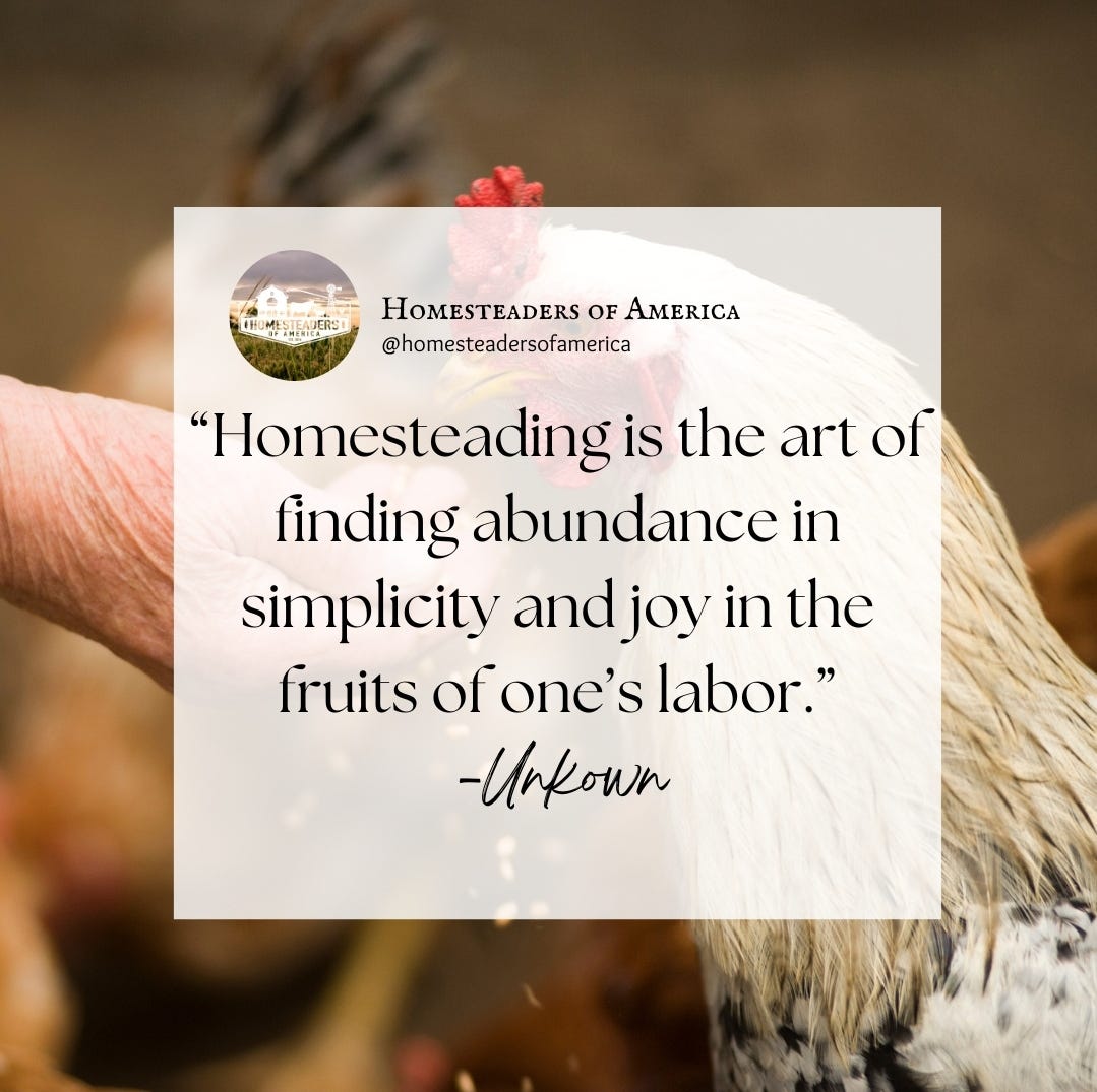 homesteading without limits