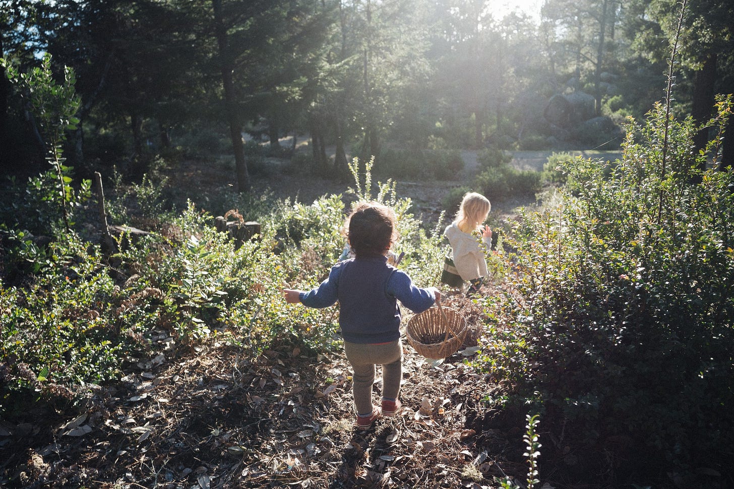 About Our School — The Forager School