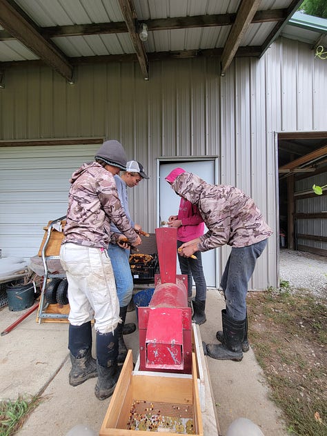 The week around the farm