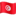 🇹🇳 🇹🇳