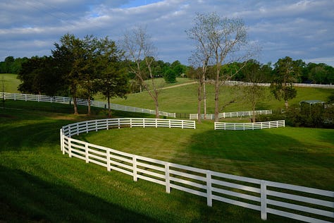 Shots from our Virginia road trip!