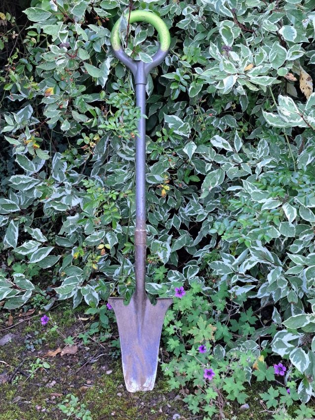 Favourite spade copyright Anne Wareham 