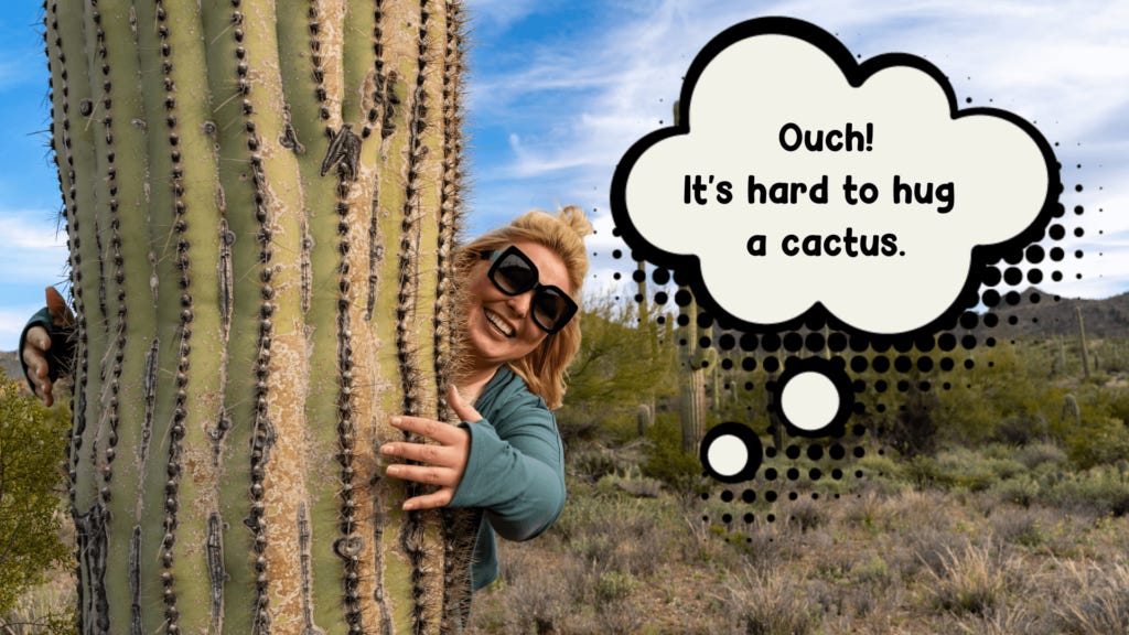 Cactus Hug Cactus Hug
