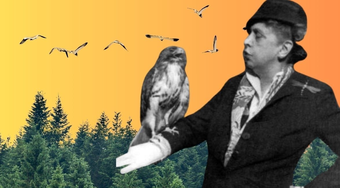 The Badass Story of Rosalie Edge: The Indomitable Hellcat of Conservation