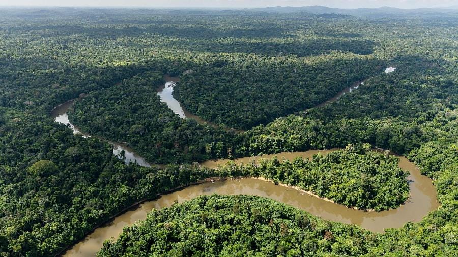 Meta é captar US$25 bilhões de investidores públicos e US$100 bilhões de privados para a preservação de florestas. Na imagem, a Floresta Amazônica
