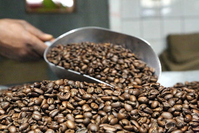 Roasted coffee beans