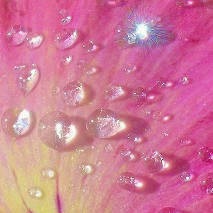 Faye's Star Dusted Pages