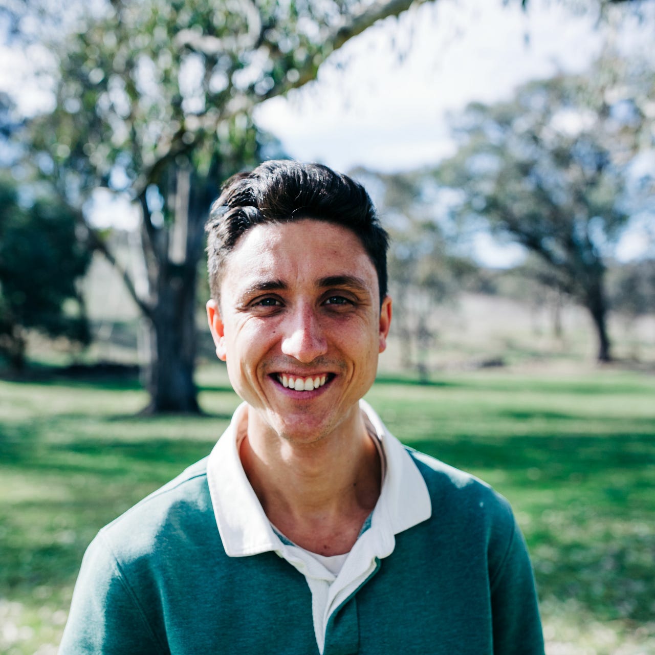 Ricci Flow Nutrition