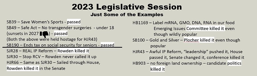 2023 legislative results.jpg