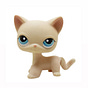 SG Pratt's avatar