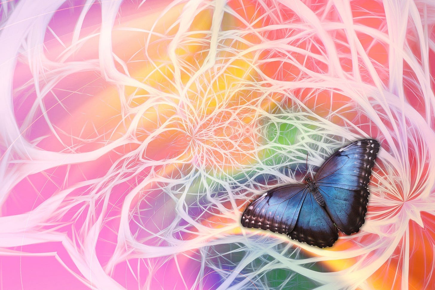 This is why feeling butterflies isn’t a good sign What feeling butterflies really means when meeting someone new