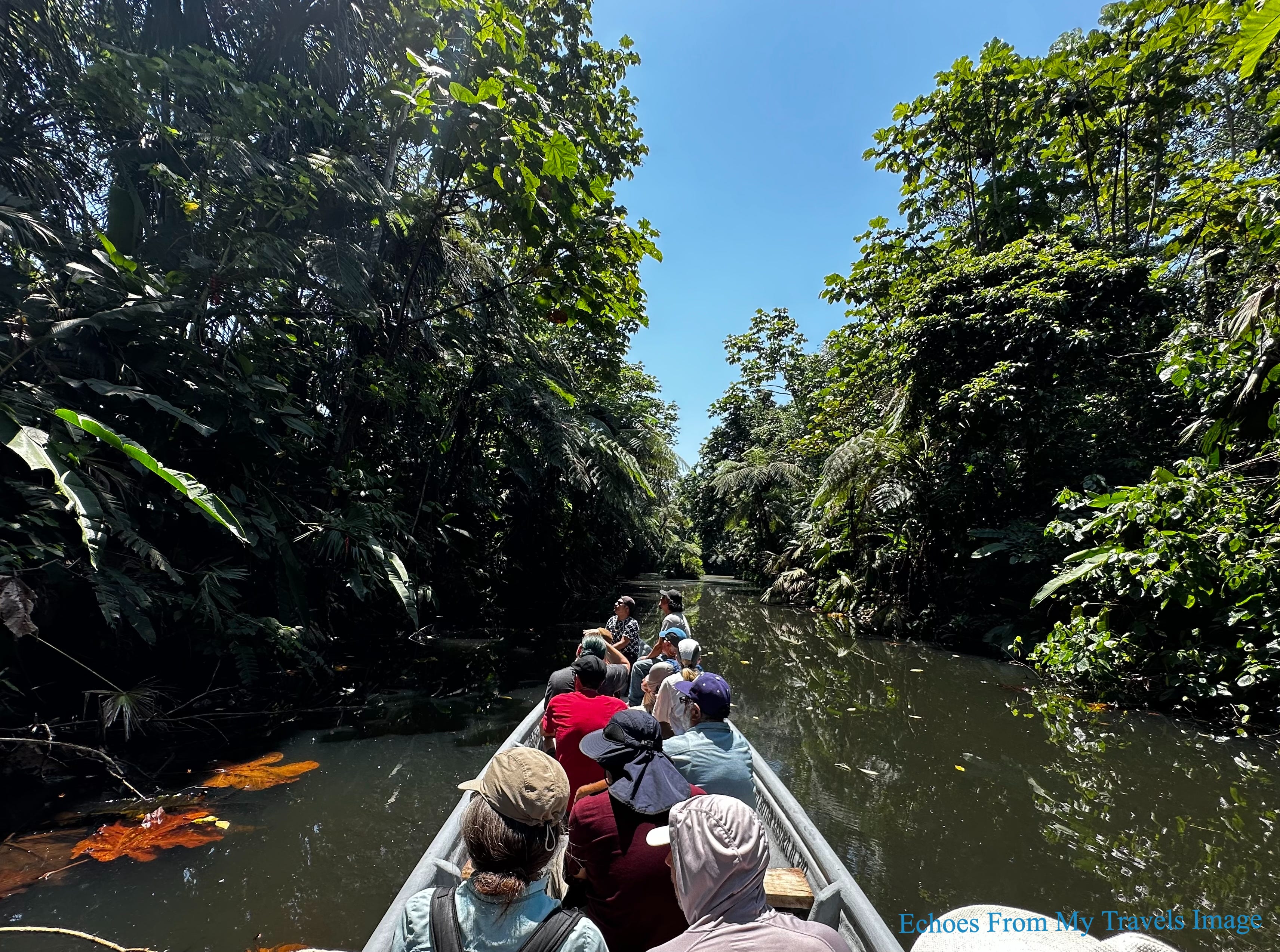 亞馬遜雨林，尋找大自然神秘療癒力量- by 刁冠群- Echoes From My Travels