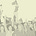 Democracy Seminar's avatar