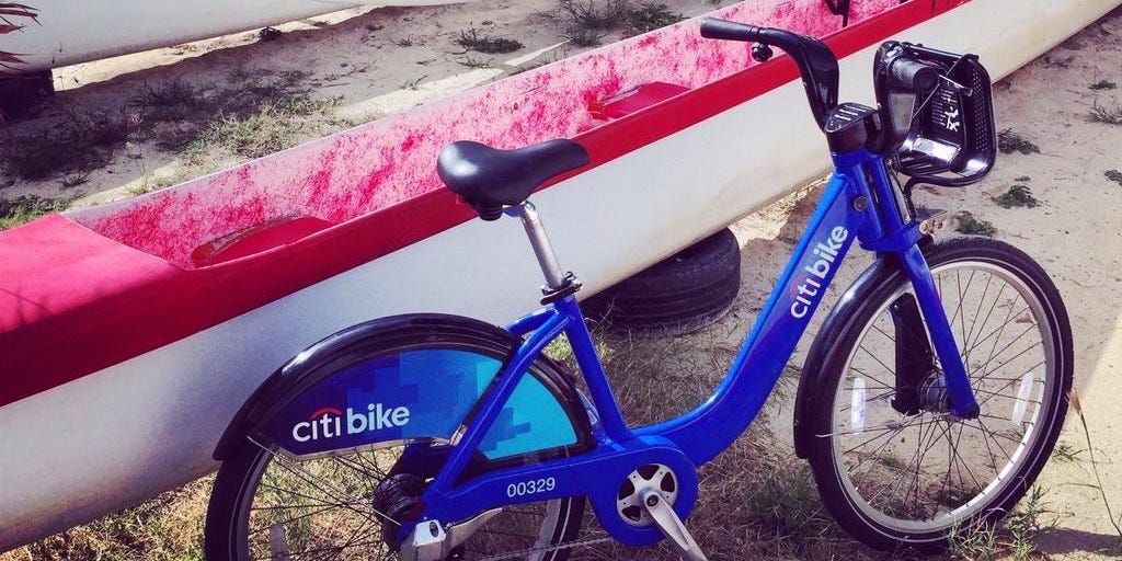 mike-the-citi-bike mike-the-citi-bike