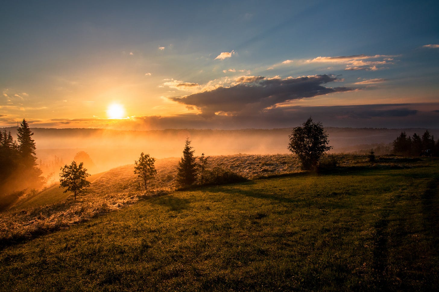 Sunrise Photo by <a href="https://unsplash.com/@davealmine?utm_source=unsplash&utm_medium=referral&utm_content=creditCopyText">Dawid Zawiła</a> on <a href="https://unsplash.com/s/photos/sunrise?utm_source=unsplash&utm_medium=referral&utm_content=creditCopyText">Unsplash</a> Sunrise Photo by <a href="https://unsplash.com/@davealmine?utm_source=unsplash&utm_medium=referral&utm_content=creditCopyText">Dawid Zawiła</a> on <a href="https://unsplash.com/s/photos/sunrise?utm_source=unsplash&utm_medium=referral&utm_content=creditCopyText">Unsplash</a>