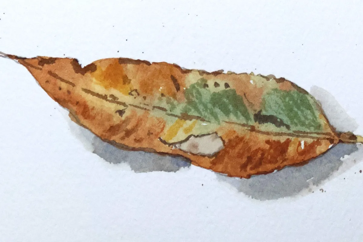 Reading the Leaves
