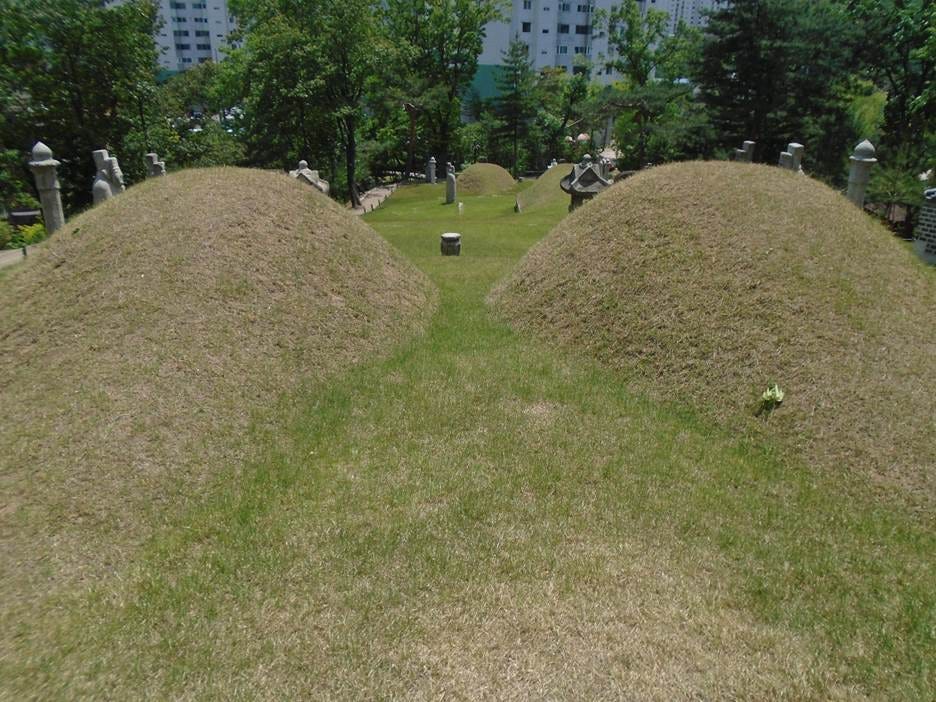 A grassy hill with a couple of piles of grass
AI-generated content may be incorrect. A grassy hill with a couple of piles of grass
AI-generated content may be incorrect.