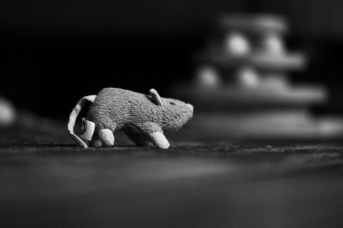 A black and white photograph of a toy mouse