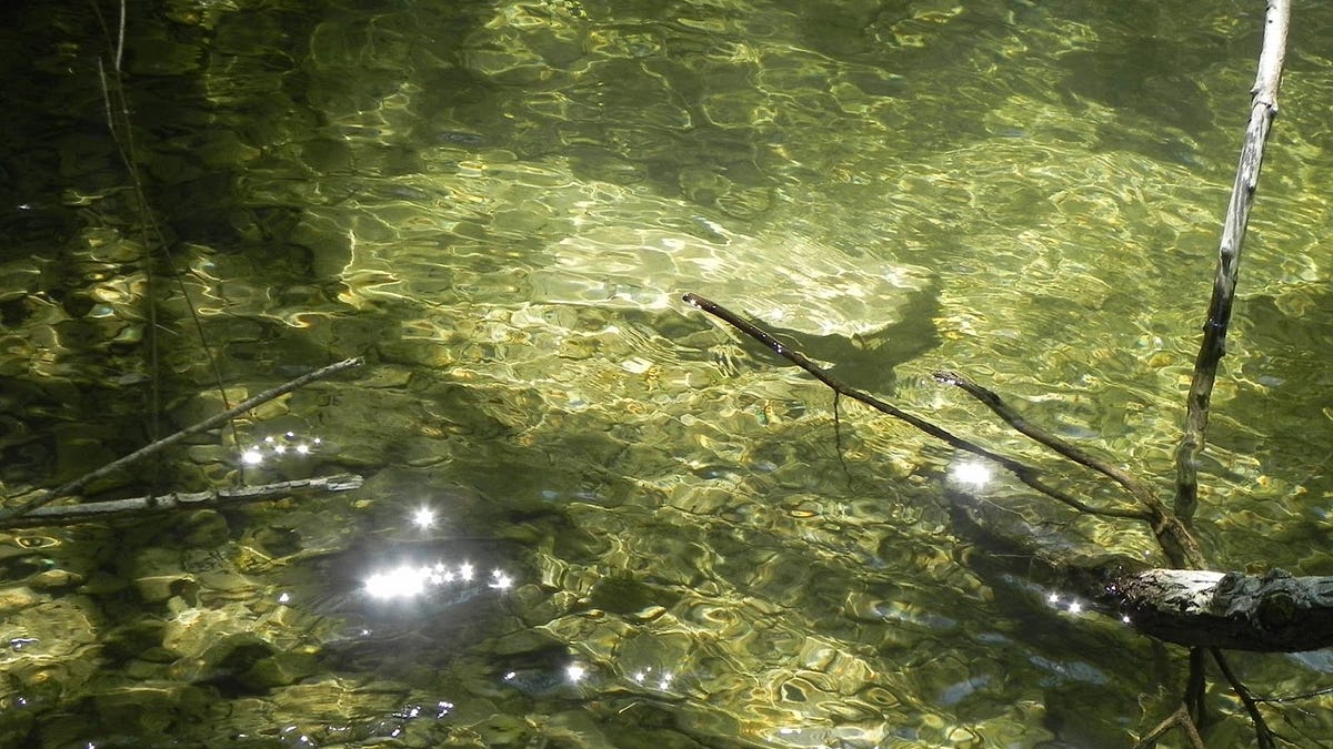 Flying Broomsticks