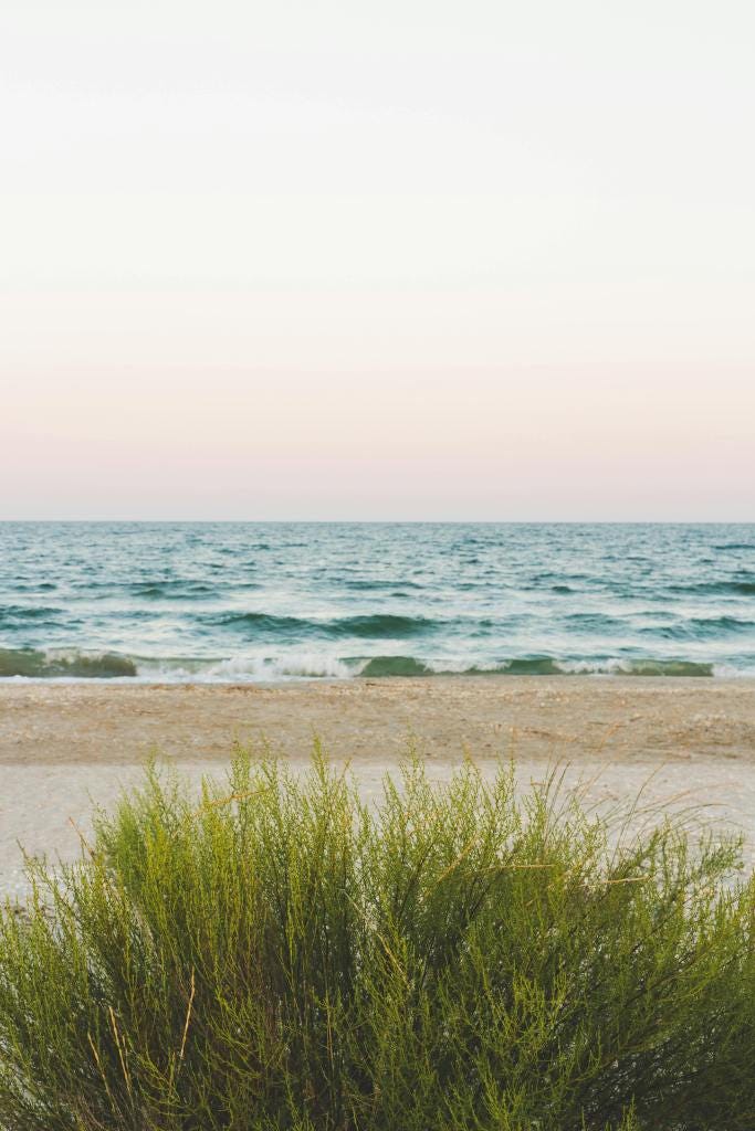 A Summer Morning Ritual: Embracing Lightness and Vitality in Midlife